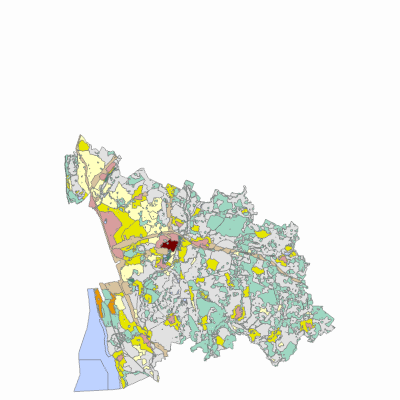 Export Image