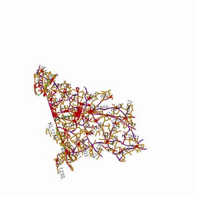 Export Image