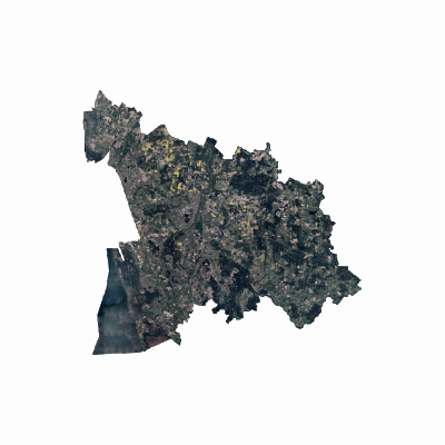 Export Image